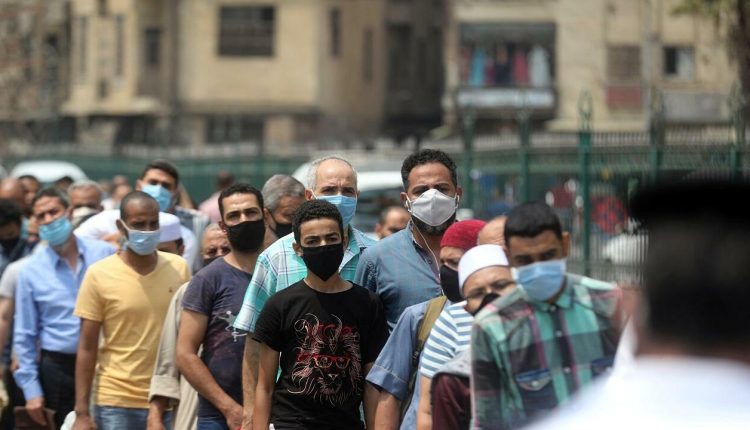 كورونا في مصر
